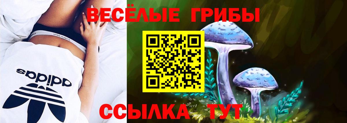 Псилоцибиновые грибы прущие грибы Михайловка